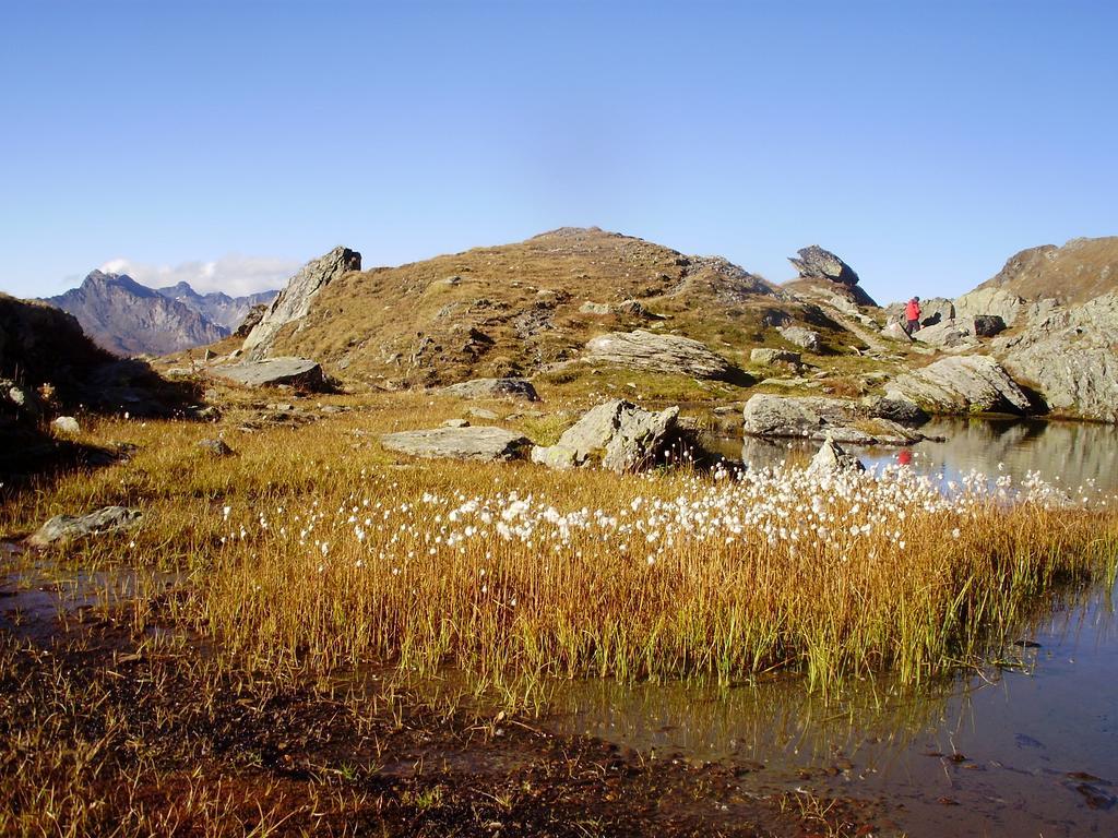 Scheurerhof Tux Quarto foto