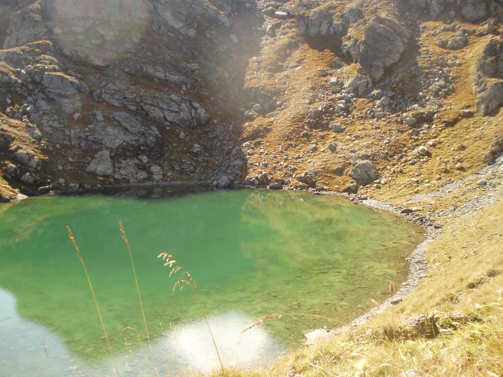 Scheurerhof Tux Quarto foto